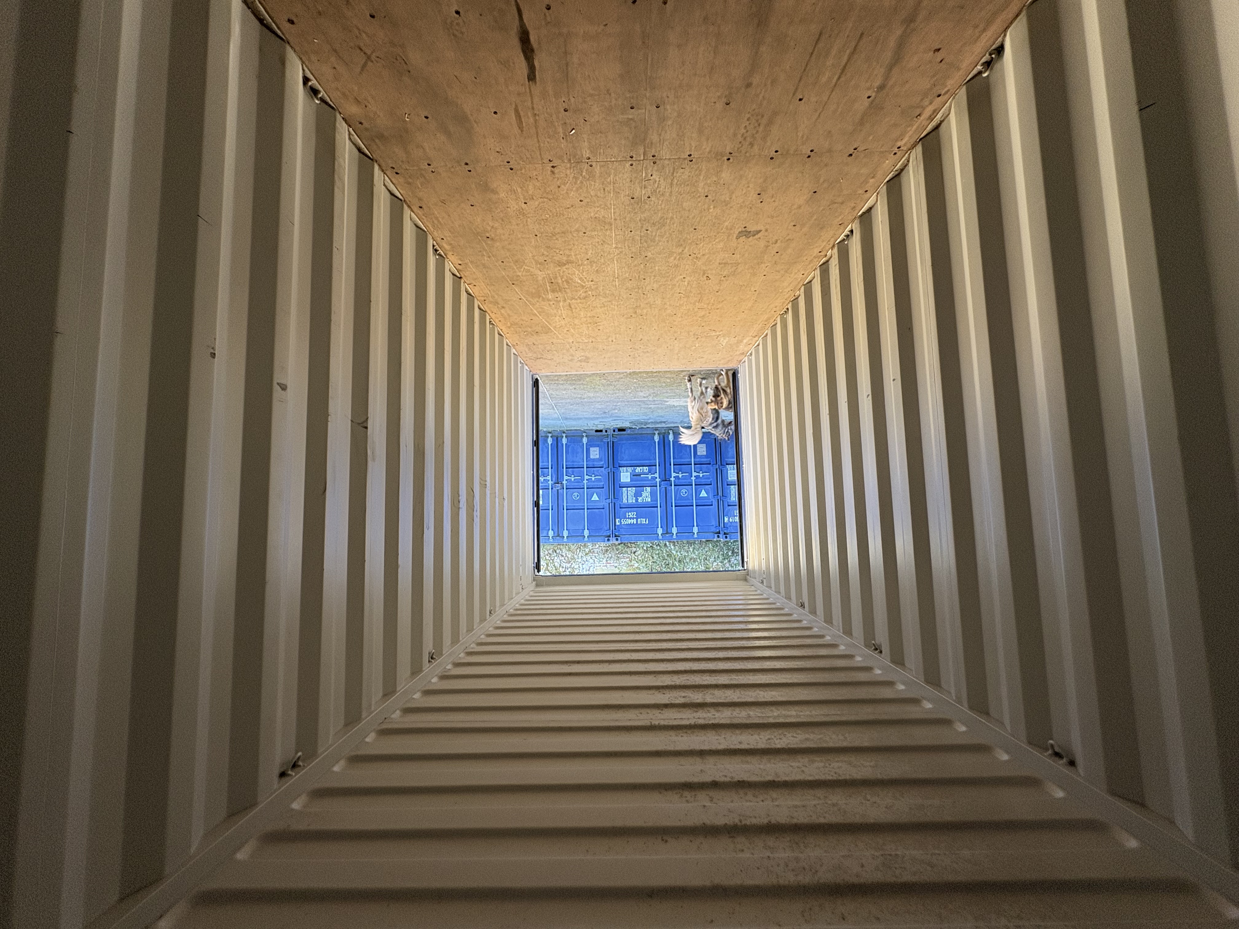 20 FT Container